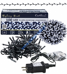 Sznur 5m 100 LED PROGRAMATOR 8 FUNKCJI zewnętrzne, biały zimny 600/21/LED/CW